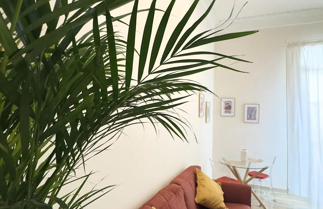 Home To Salerno B&B-1